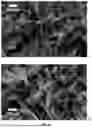 Fig. 09 - NANO-AMENDED CEMENTITIOUS MATERIALS FOR WASTE STABILIZATION