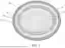 Fig. 02 - EXFOLIATED BORON NITRIDE FOR INTERFACE COATING FOR CERAMIC MATRIX COMPOSITES