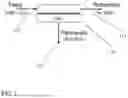 Fig. 02 - MEMBRANE PROCESS FOR BUTADIENE EXTRACTION SOLVENT PURIFICATION