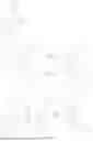 Fig. 45 - 4-AMINO-3-(4-PHENOXYPHENYL)-1,3-DIHYDRO-2H-IMIDAZO[4,5-C]PYRIDIN-2-ONE DERIVATIVES AND SALTS THEREOF