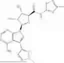 Fig. 130 - METTL3 MODULATORS