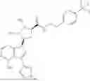 Fig. 155 - METTL3 MODULATORS