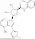 Fig. 169 - METTL3 MODULATORS