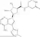 Fig. 222 - METTL3 MODULATORS
