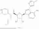 Fig. 48 - METTL3 MODULATORS
