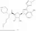 Fig. 49 - METTL3 MODULATORS
