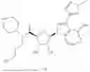 Fig. 50 - METTL3 MODULATORS