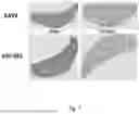 Fig. 08 - Antibody-evading virus vectors
