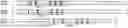 Fig. 01 - TOMATO-DERIVED SIJUL GENE REGULATING PHLOEM DEVELOPMENT AND USE THEREOF