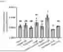 Fig. 06 - TOMATO-DERIVED SIJUL GENE REGULATING PHLOEM DEVELOPMENT AND USE THEREOF