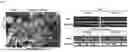 Fig. 09 - TOMATO-DERIVED SIJUL GENE REGULATING PHLOEM DEVELOPMENT AND USE THEREOF