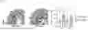 Fig. 10 - TOMATO-DERIVED SIJUL GENE REGULATING PHLOEM DEVELOPMENT AND USE THEREOF
