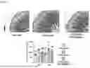 Fig. 16 - TOMATO-DERIVED SIJUL GENE REGULATING PHLOEM DEVELOPMENT AND USE THEREOF