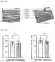 Fig. 25 - TOMATO-DERIVED SIJUL GENE REGULATING PHLOEM DEVELOPMENT AND USE THEREOF
