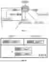 Fig. 13 - TARGETING CAP-DEPENDENT TRANSLATION TO REDUCE SEIZURES IN MTOR DISORDERS