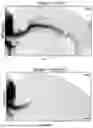 Fig. 20 - TARGETING CAP-DEPENDENT TRANSLATION TO REDUCE SEIZURES IN MTOR DISORDERS