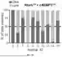Fig. 34 - TARGETING CAP-DEPENDENT TRANSLATION TO REDUCE SEIZURES IN MTOR DISORDERS