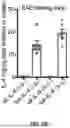 Fig. 22 - ANTI-INFLAMMATORY CYTOKINES AND METHODS OF USE