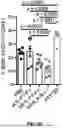 Fig. 45 - ANTI-INFLAMMATORY CYTOKINES AND METHODS OF USE