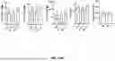 Fig. 85 - ANTI-INFLAMMATORY CYTOKINES AND METHODS OF USE
