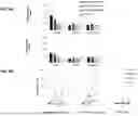 Fig. 16 - METHODS AND COMPOSITIONS OF A FOLLICLE STIMULATING HORMONE RECEPTOR IMMUNORECEPTOR OR CHIMERIC ANTIGEN RECEPTOR