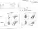 Fig. 28 - METHODS OF OBTAINING TUMOR-SPECIFIC T CELL RECEPTORS
