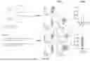 Fig. 33 - METHODS OF OBTAINING TUMOR-SPECIFIC T CELL RECEPTORS