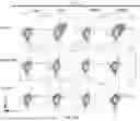 Fig. 86 - METHODS OF OBTAINING TUMOR-SPECIFIC T CELL RECEPTORS