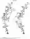 Fig. 30 - PLATELET ALPHA-GRANULES FOR DELIVERY OF MULTIPLE PROTEINS