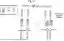 Fig. 04 - INDUCIBLE SIGNALLING PROTEIN