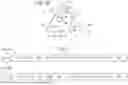 Fig. 07 - INDUCIBLE SIGNALLING PROTEIN