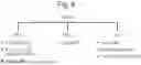 Fig. 08 - INDUCIBLE SIGNALLING PROTEIN