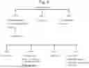 Fig. 13 - INDUCIBLE SIGNALLING PROTEIN