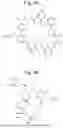 Fig. 17 - INDUCIBLE SIGNALLING PROTEIN