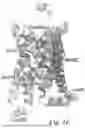 Fig. 21 - MUTANT G-PROTEIN COUPLED RECEPTORS AND METHODS FOR SELECTING THEM