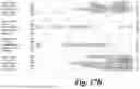 Fig. 23 - MUTANT G-PROTEIN COUPLED RECEPTORS AND METHODS FOR SELECTING THEM