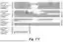 Fig. 24 - MUTANT G-PROTEIN COUPLED RECEPTORS AND METHODS FOR SELECTING THEM