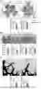 Fig. 01 - NOVEL RECOMBINANT FRAGMENTS OF FIBRILLIN-1 AND METHODS OF USE THEREOF