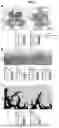 Fig. 04 - NOVEL RECOMBINANT FRAGMENTS OF FIBRILLIN-1 AND METHODS OF USE THEREOF
