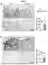 Fig. 06 - NOVEL RECOMBINANT FRAGMENTS OF FIBRILLIN-1 AND METHODS OF USE THEREOF