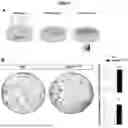 Fig. 10 - NOVEL RECOMBINANT FRAGMENTS OF FIBRILLIN-1 AND METHODS OF USE THEREOF
