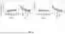 Fig. 07 - HYPERIMMUNE GLOBULIN FORMULATIONS