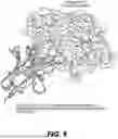 Fig. 09 - ENGINEERED PICOBODY TO ALPHA SYNUCLEIN
