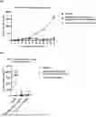 Fig. 01 - RECOMBINANT CD3 BINDING PROTEINS AND THEIR USE