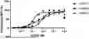 Fig. 01 - MURINE CROSS-REACTIVE HUMAN CCR8 BINDERS