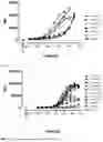 Fig. 05 - MURINE CROSS-REACTIVE HUMAN CCR8 BINDERS