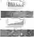 Fig. 01 - BINDING MOLECULES FOR THE TREATMENT OF CANCER