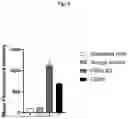 Fig. 07 - BINDING MOLECULES FOR THE TREATMENT OF CANCER