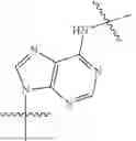 Fig. 40 - Polymeric solid support for oligonucleotide synthesis