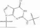 Fig. 41 - Polymeric solid support for oligonucleotide synthesis